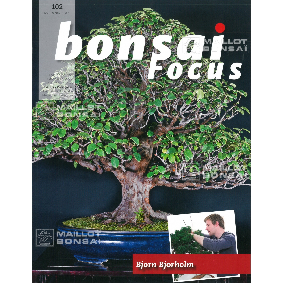 PRODUIT // Le kit « bonsaï » – Japan Magazine