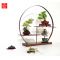 Bonsai stand round shape